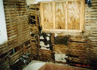 Water Damage to Walls